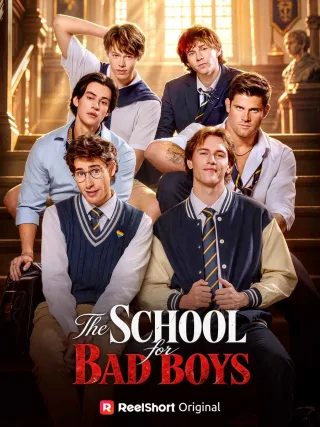 Poster for The School for Bad Boys